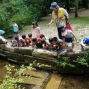 숲생태유치원 이미지