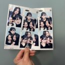 겨울이 가고 봄이 찾아오죠 : 1년만에 복학한 화석 4학년의 일기