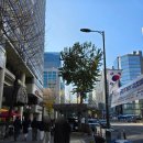 선릉역 약국 | 선릉역 피부과 :: 튠베룩 내돈내산 솔직 후기