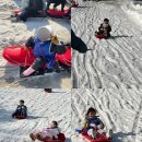 경희대 위드 태권도 이미지