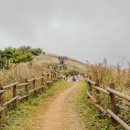 중산초등학교 이미지