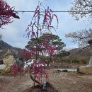 수양시장 이미지