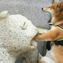 박태구 행정사 사무소 이미지