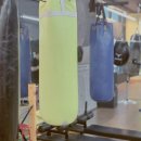 김정훈챠밍복싱센터 소사벌점 이미지