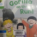 Gorilla on the run 이미지