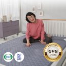 삼원에너지 | 송도순 푹자미 카본매트 절전왕 더블 삼원 탄소매트 솔직 사용 후기