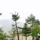 진부령 목장 이미지