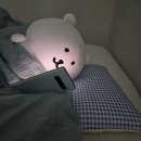 달개 이미지