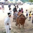 "흥이 넘치는 증평 장뜰 들노래 축제장과 아름다운 괴산 산막이 옛길 트렉킹 투어에 모두 모두 오셔서 멋진 사진 찍어요!" 이미지