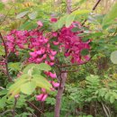 대천농장 이미지