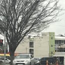 스테이백학동 이미지