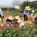 참솔영농조합