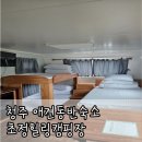 신기초교 | [청주 애견동반숙소] 초정힐링캠핑장 : 카라반 반려견 동반 내돈내산 후기