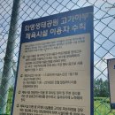 신봉동 고가하부 체육시설 족구장 | 화명동 무료 테니스장 : 심지어 그늘인 숨겨진 장소