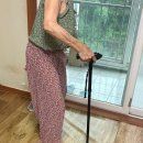 비상디자인 | 케어위즈 LED 비상알람 지팡이 후기 할머니선물로 만족한 LED지팡이