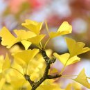 바삭바삭 이미지