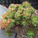 대박터진날 이미지