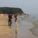 대천해수욕장 이미지