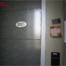 배산 제1체육시설 이미지