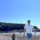 저도어촌체험휴양마을 이미지