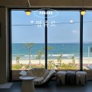 술멍 | 포항 애견카페 멍쥬르,술까지 가능한 감성 카페 솔직후기