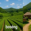 정선베다니자연농장 | 안전한 국내 소도시 여행 (정선, 보성, 고창)