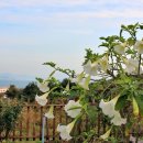 대항보건진료소 이미지