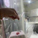 옐스커리 네이버블로그