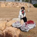 동백여행과군산 이미지