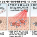 부산여성비뇨의학과의원