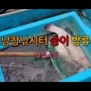 남창낚시터 이미지