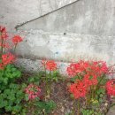 2025년 9월29일 월요일 출석부 / 가을 햇살 아래 이미지