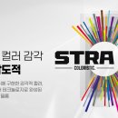 이박사차유리