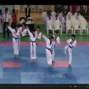 경희대 호돌이 태권도장 이미지