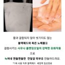 (이퀄베리)비건 사우나 클렌징오일 메이크업, 블랙헤드, 피지 제거 립앤아이 리무버,비건 클렌징오일추천