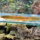 독립-20-01 이미지