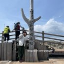 [제주 여행] 4월 한라산 등반 후기 | 성판악 코스 완전정복, 봄날의 힐링 트레킹&#34;