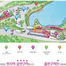 하늘꽃인삼