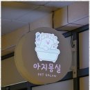 아지묭실 네이버블로그