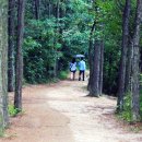 용산숲화장실 이미지