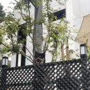 아체로7 이미지