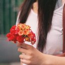 스텔스모텔 이미지