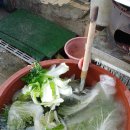 민속원조갈비 이미지