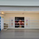 스타복싱클럽 이미지