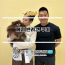 24시보듬동물병원 이미지