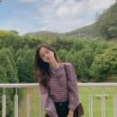 체리코코