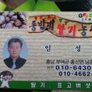 동빈네딸기체험 이미지