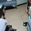 주정농장 이미지