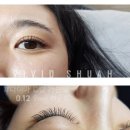 비비드 속눈썹 이미지