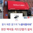 스콜라플라워